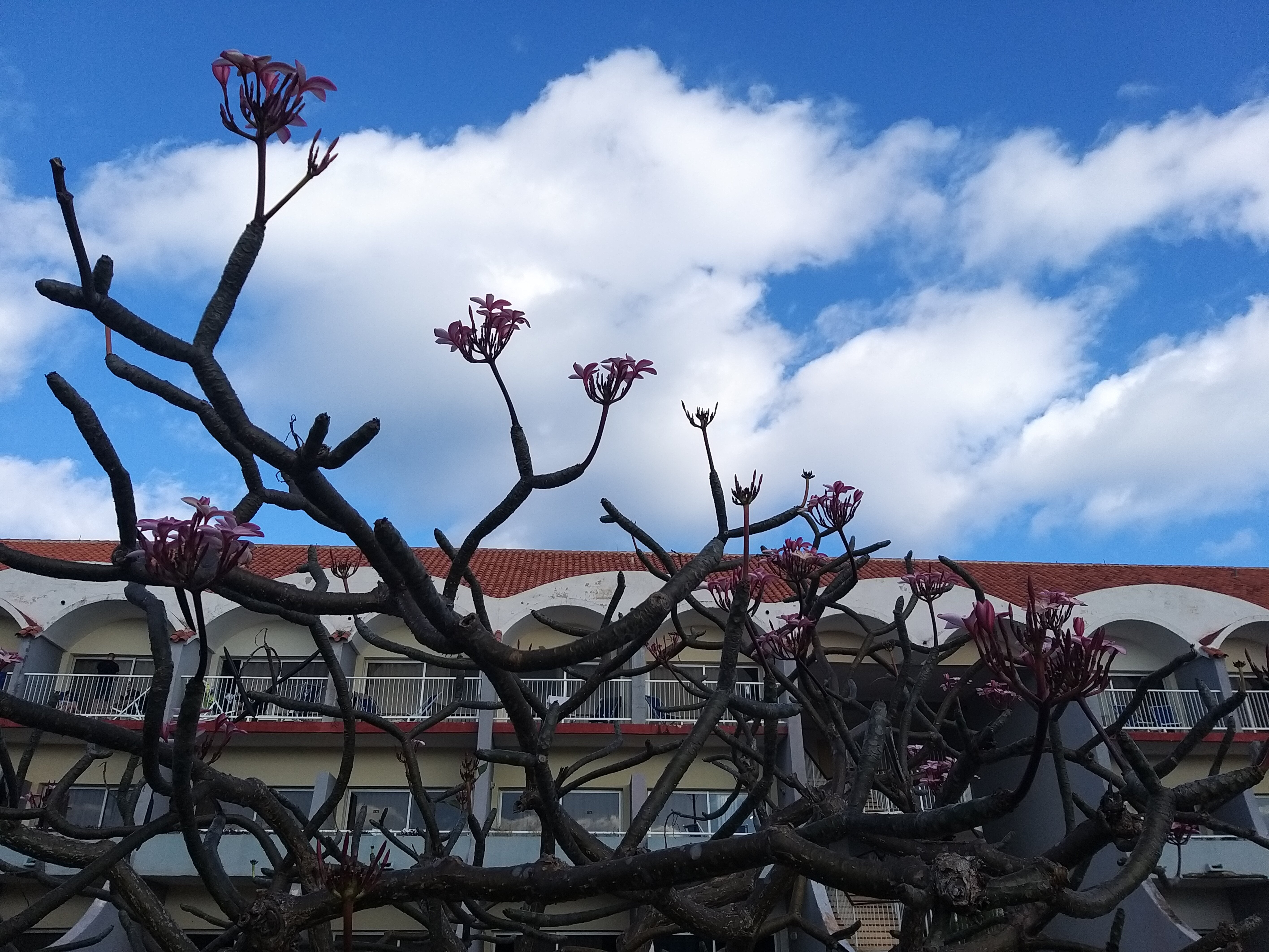 Фото Brisas del Caribe