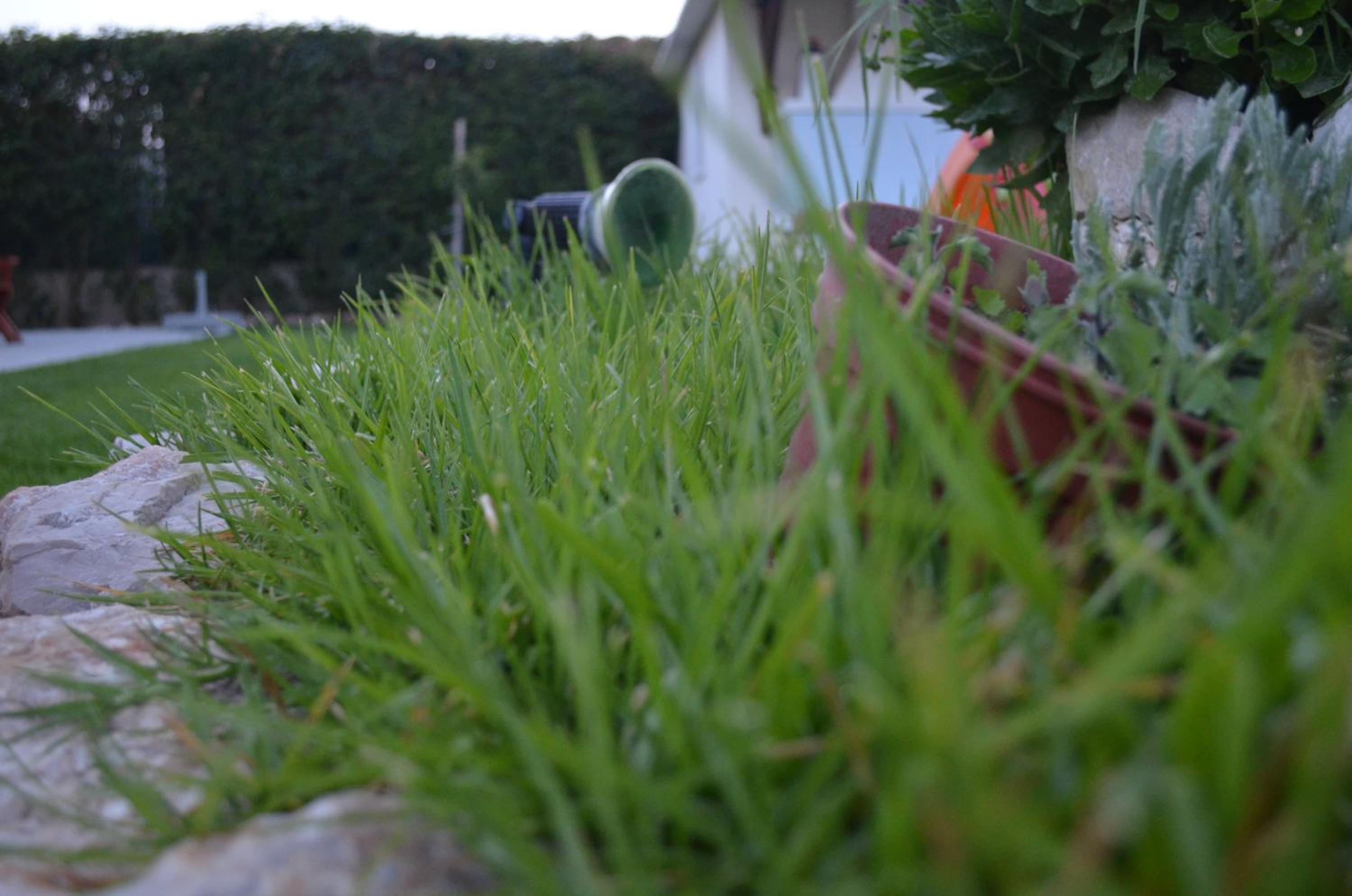 Фото Kremasti Memories