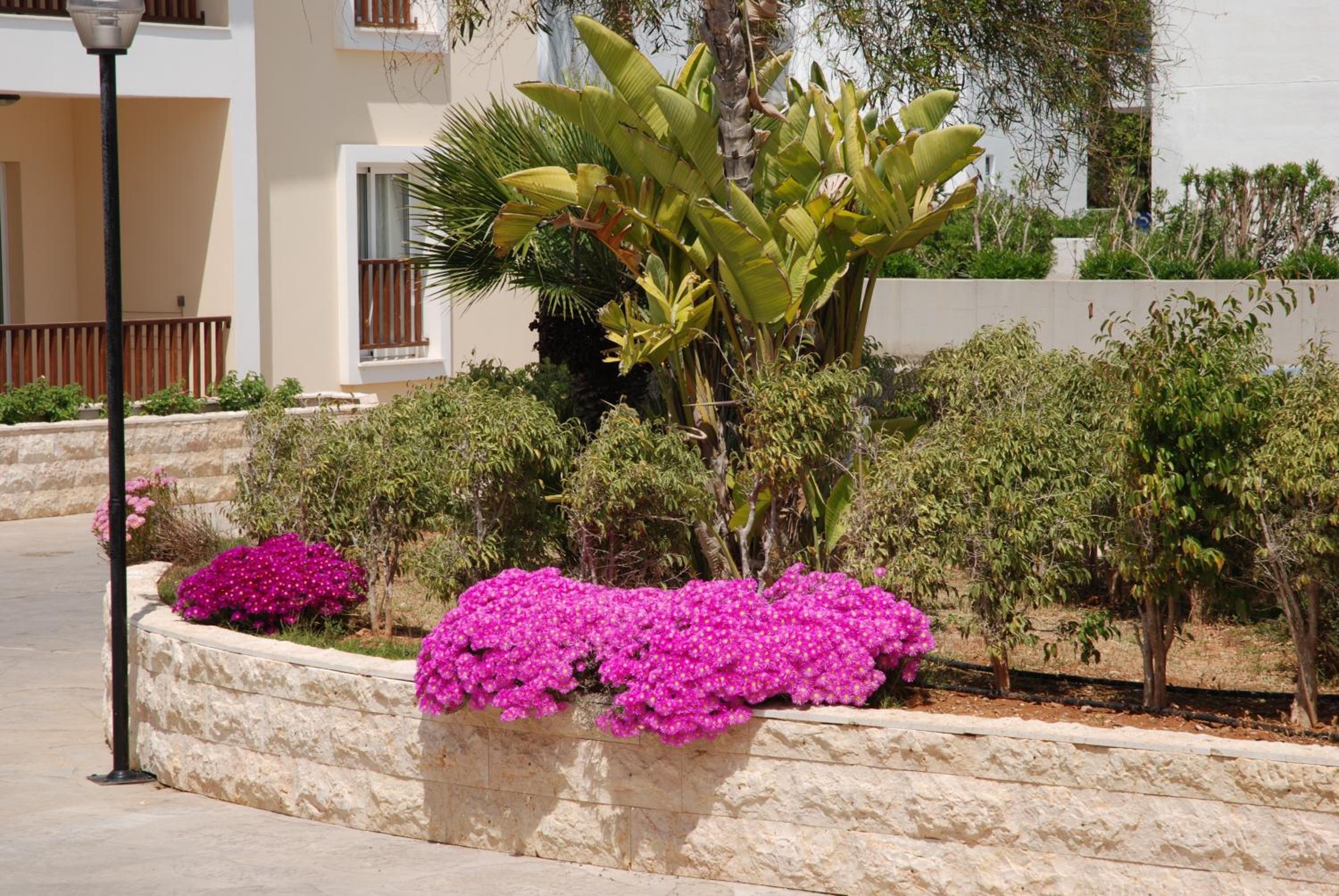 Фото Aktea Beach