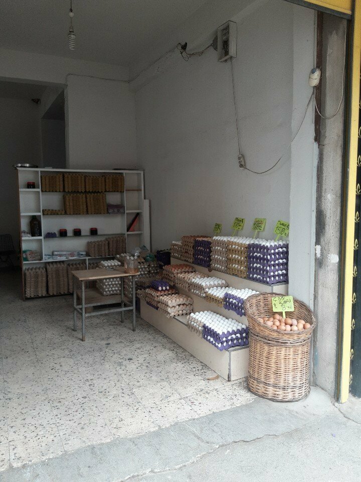 Egg and poultry meat Hek Poultry, Izmir, photo