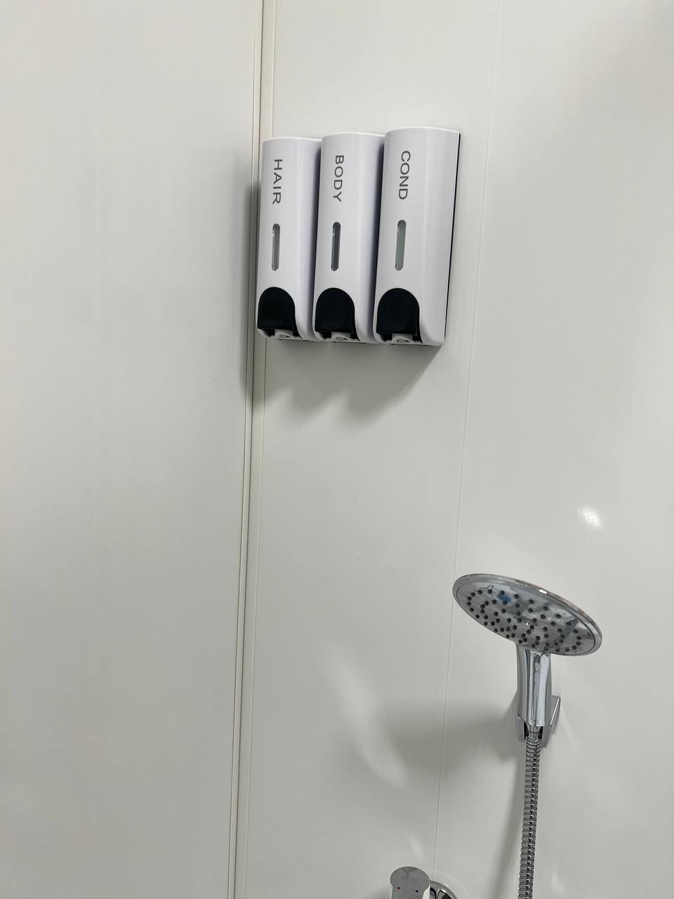 Фото Дом с березками