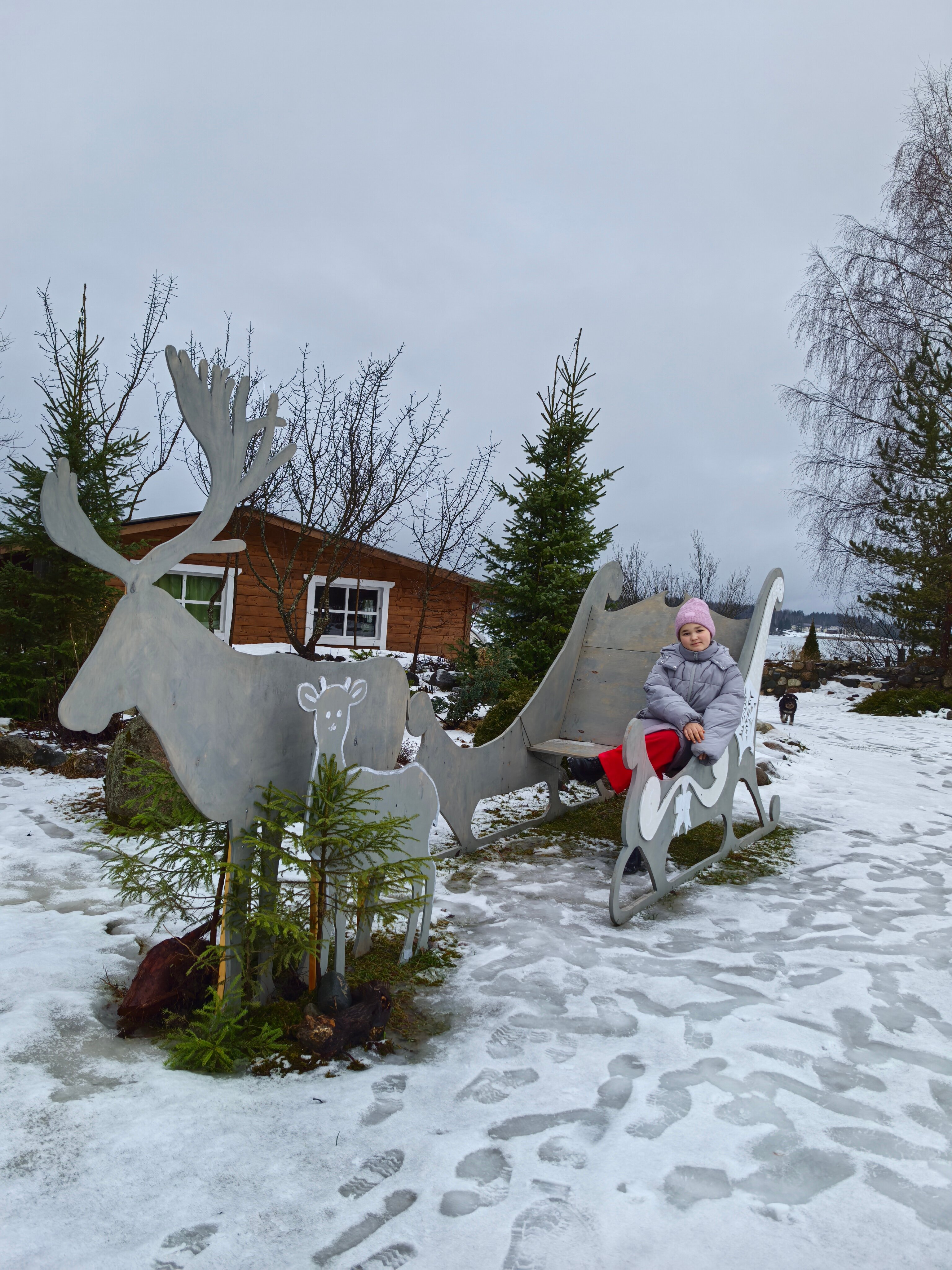 Фото Экотель