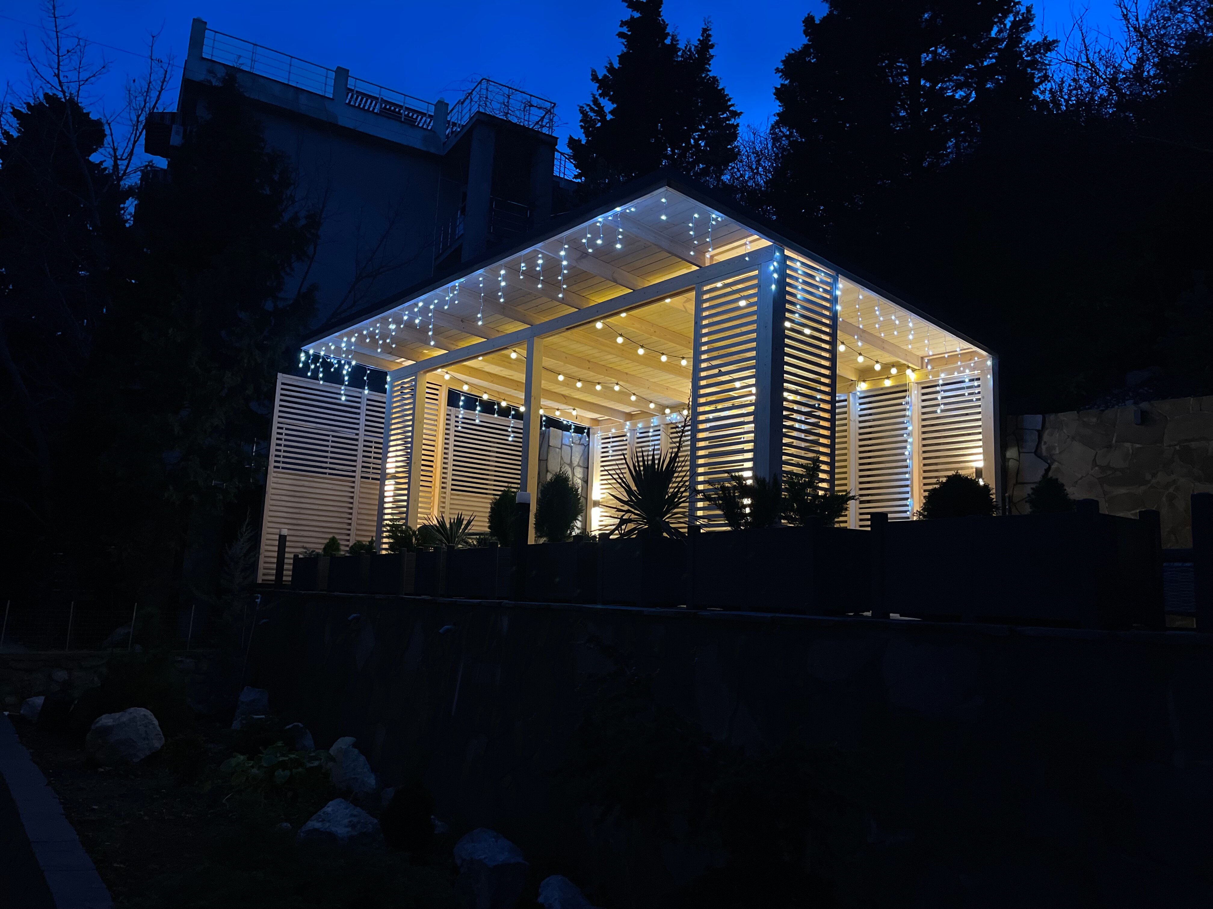 Фото Южный Кедр