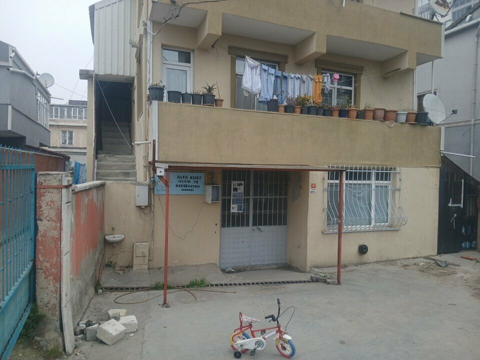 Tourism equipment Alpha Wolf Scouting and Recreation, Istanbul, photo