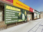 Аквасалон (15-y mikrorayon, 21), aquariums