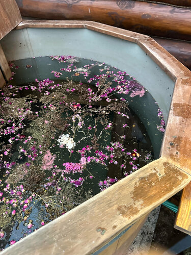 Иное жильё Вудхаус в Истре