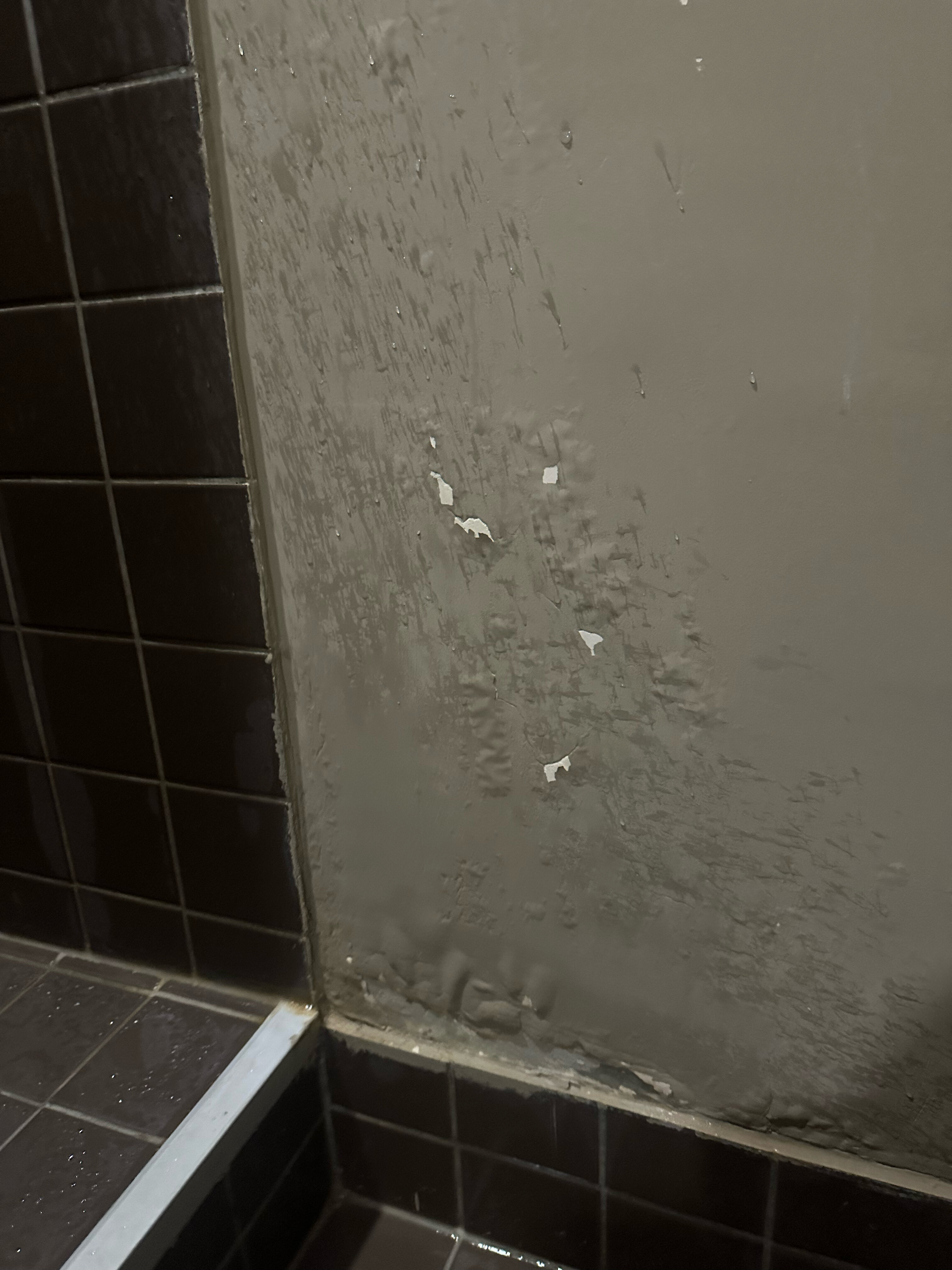 Фото Quadrum Hotel