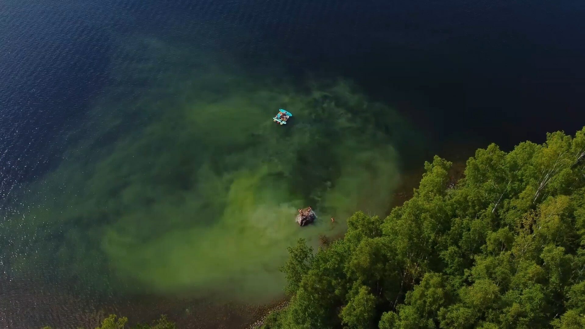 Фото База отдыха Гуляевка