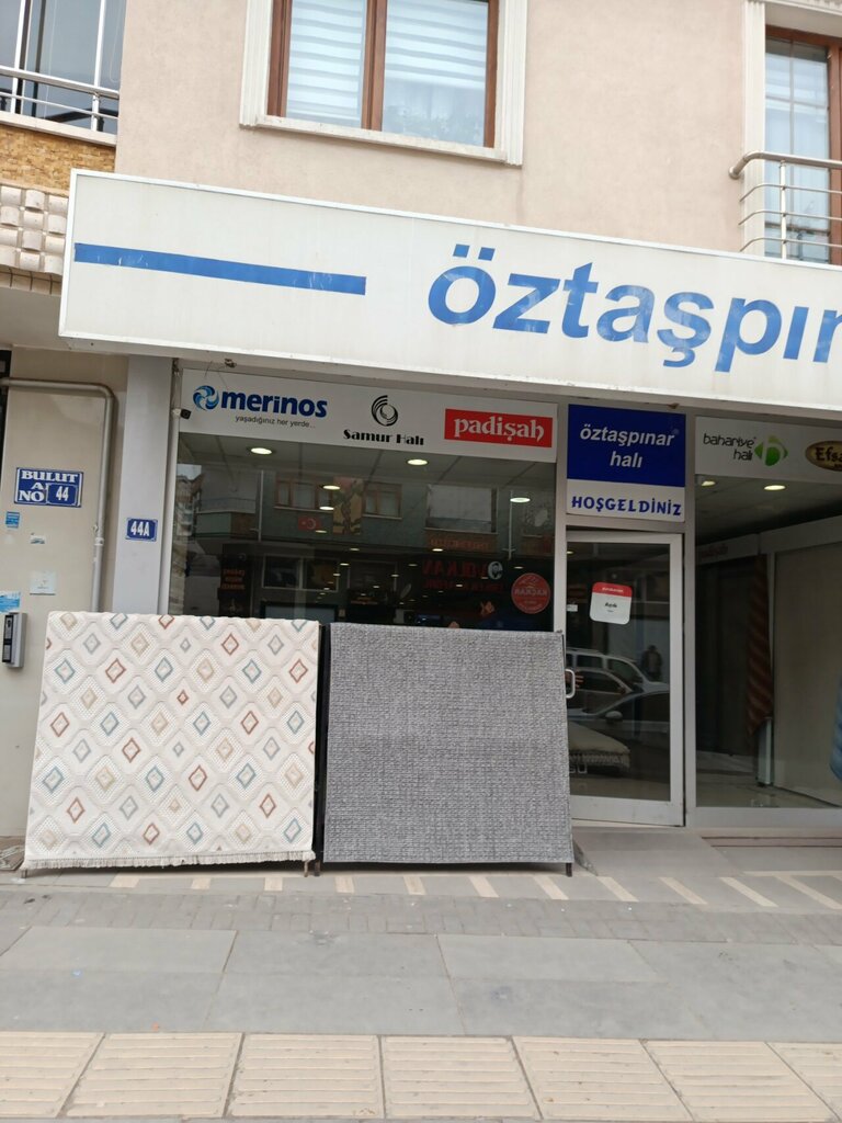 Carpet shop Oztaspinar Hali, Ankara, photo