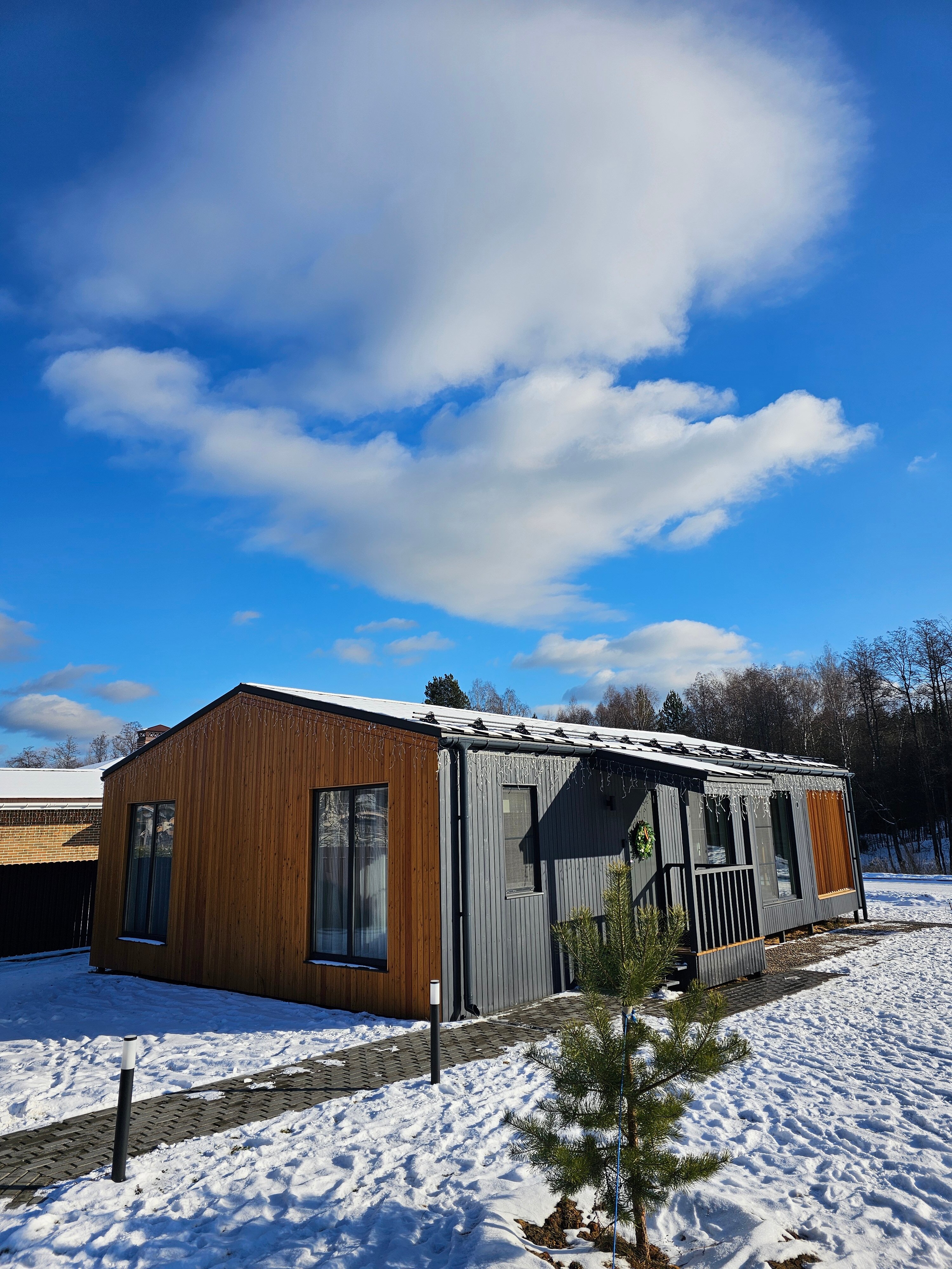 Фото Добро и Лес