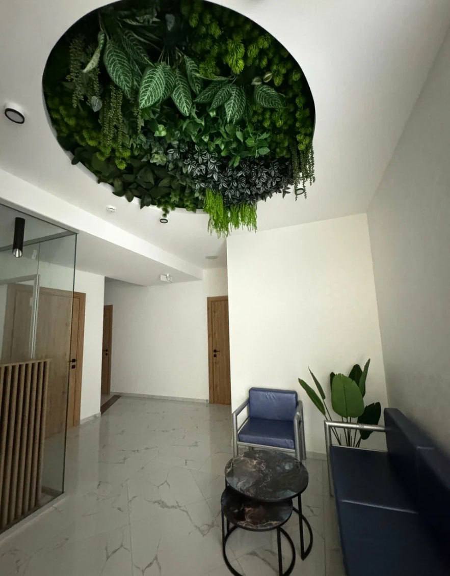 Фото МореЯлта