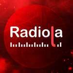 Radiola (Obrucheva Street, 36к2), auto accessories