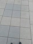 Malatya Market (Istanbul, Sancaktepe, Yakacik Avenue, 73C) ، سوق المزارعين