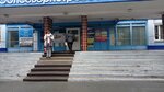 Ателье окон (ulitsa Przhevalskogo, 36), windows