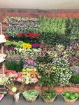 Dom Floristiki (Manchesterskaya Street, 2), floristería