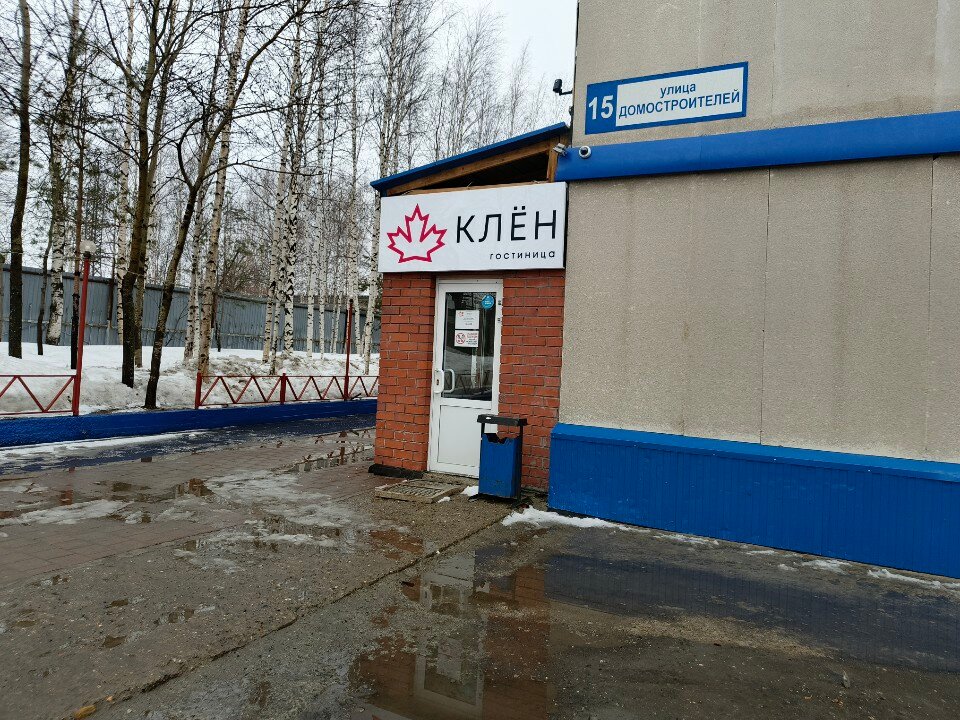 Фото Клен
