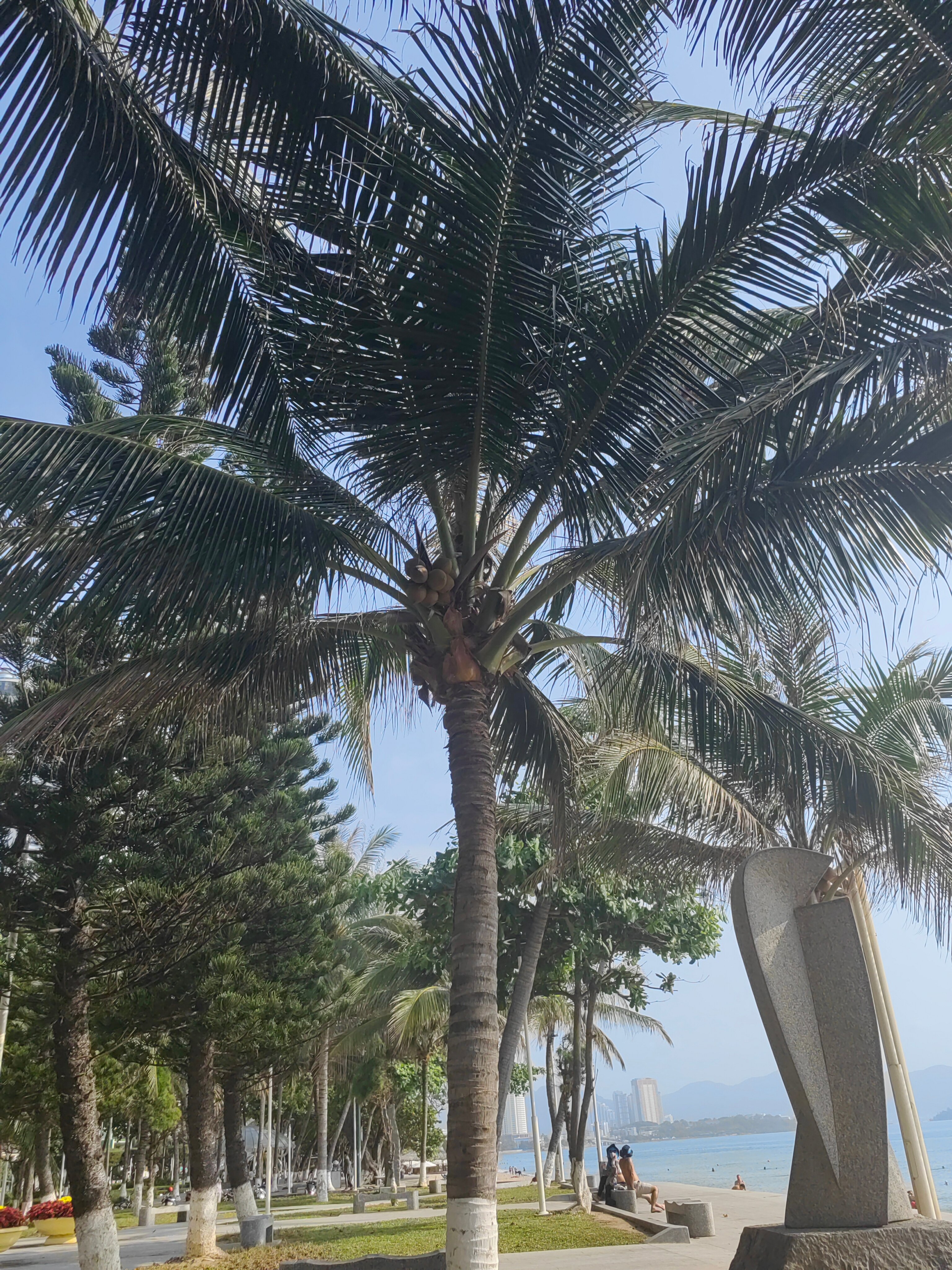 Фото Libra Hotel Nha Trang