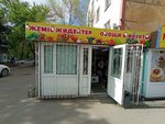 Kiosk selling vegetables and fruits (10A shaǵyn aýdany, 13), greengrocery