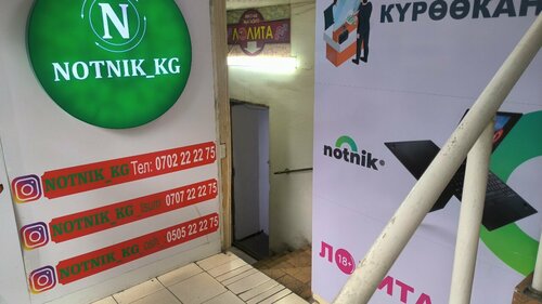 Ұзын жыныс мүшесі