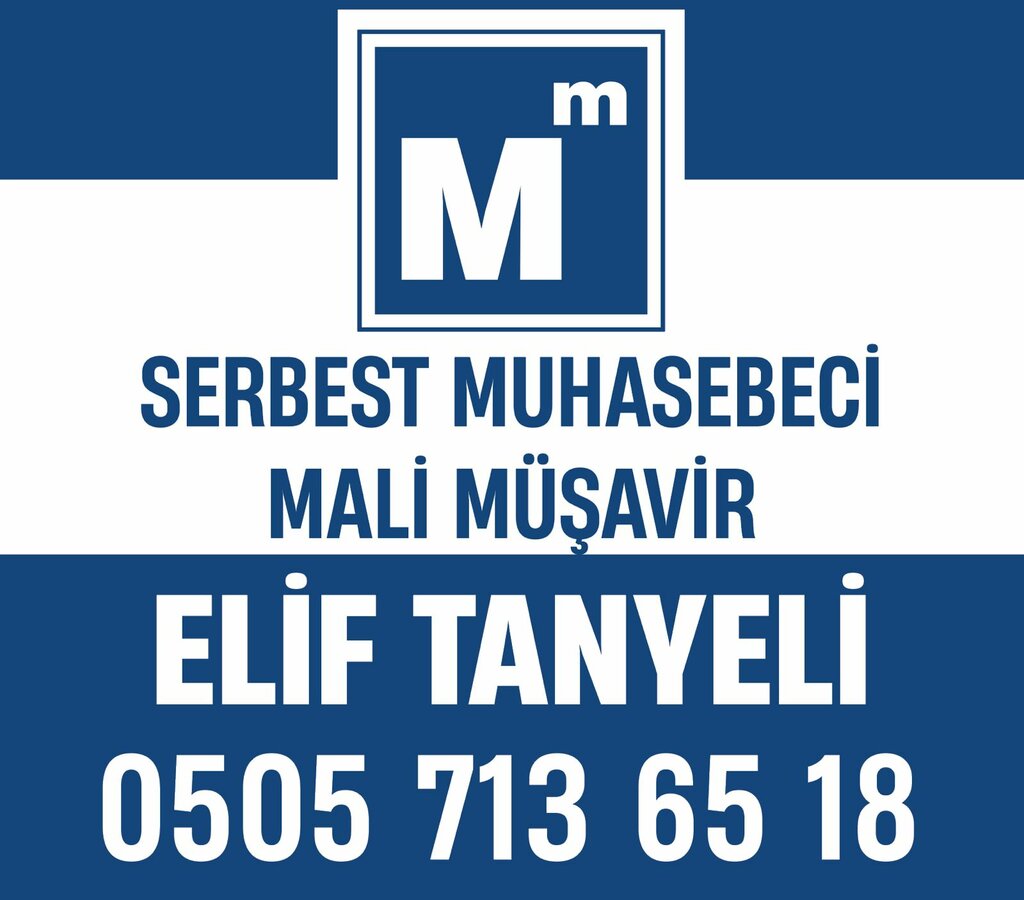 Tax consultants Freelance Accountant Financial Advisor Elif Tanyeli, Izmir, photo