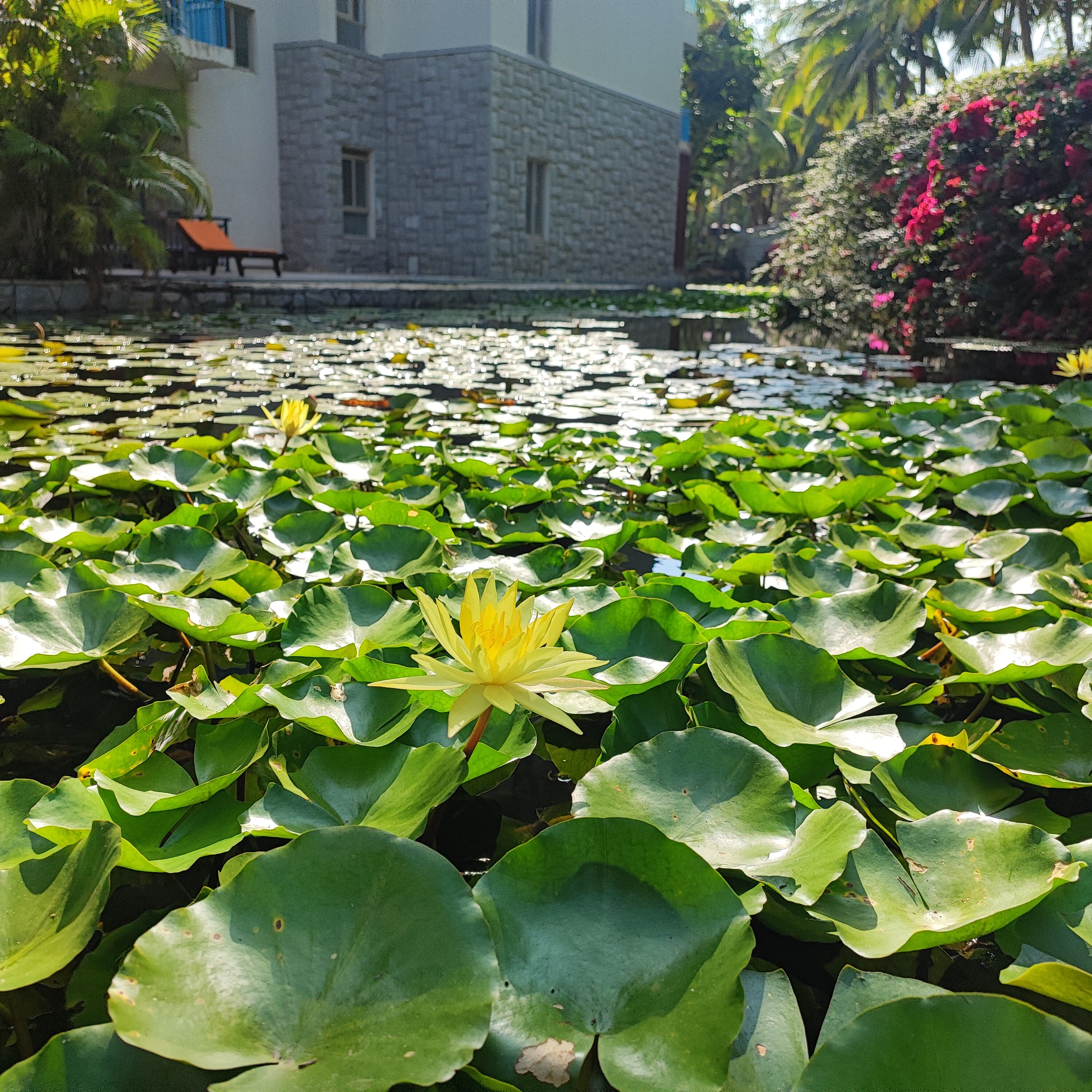 Фото Swissôtel Sanya Yalong Bay