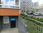 Калининградский кеннел клуб (Batalnaya Street, 98), community organization