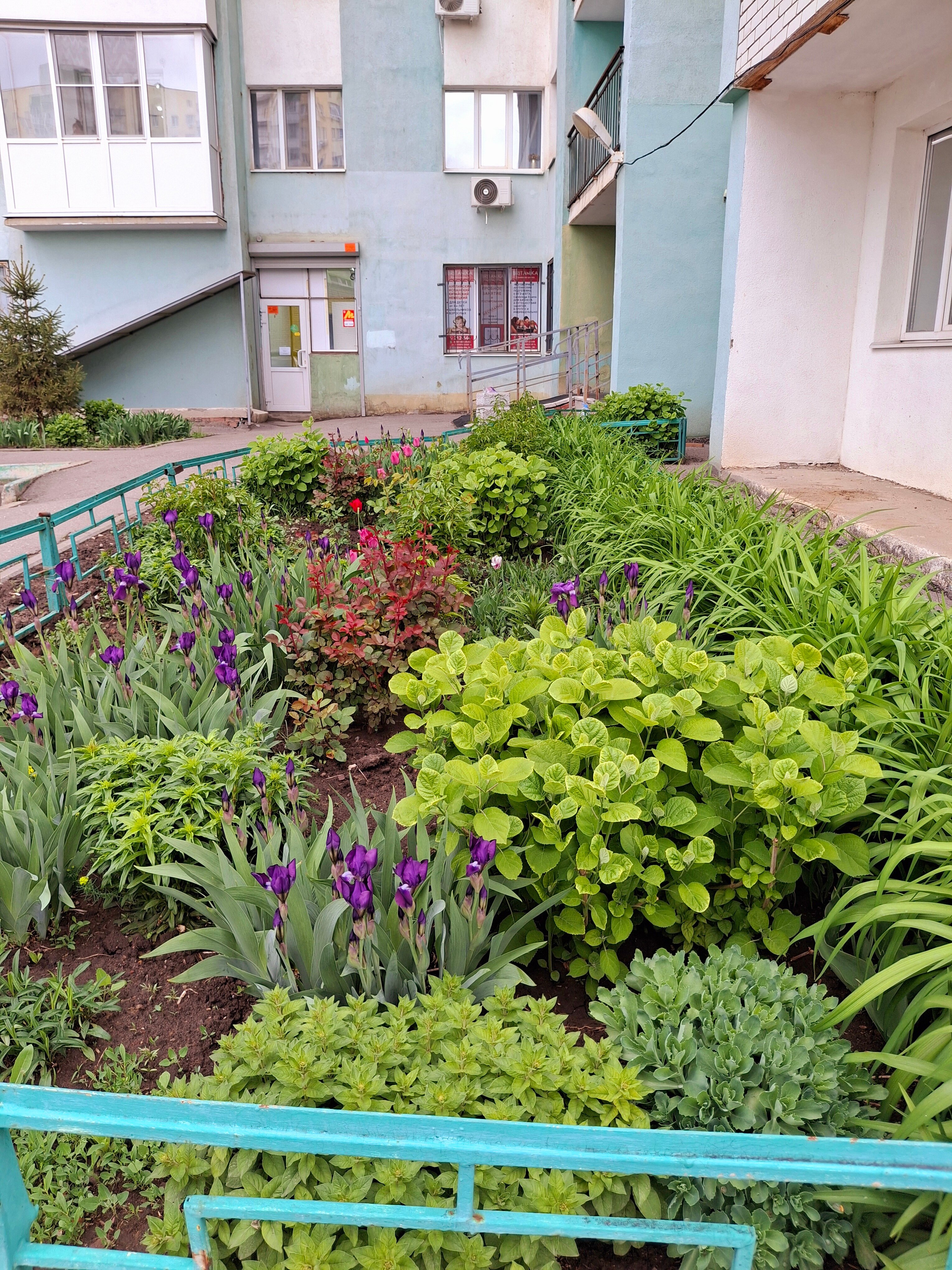 Фото отеля 2