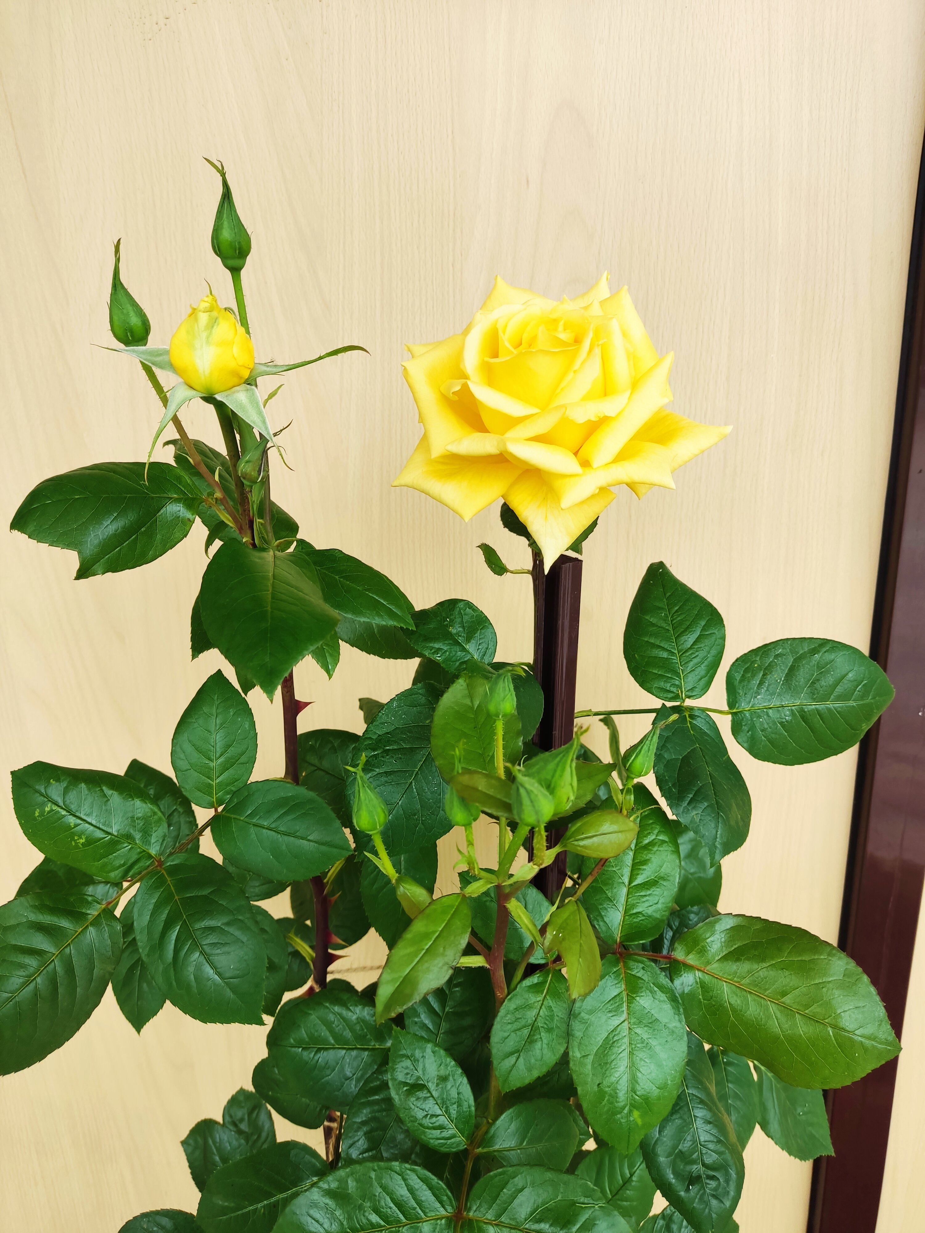 Фото Море Сочи