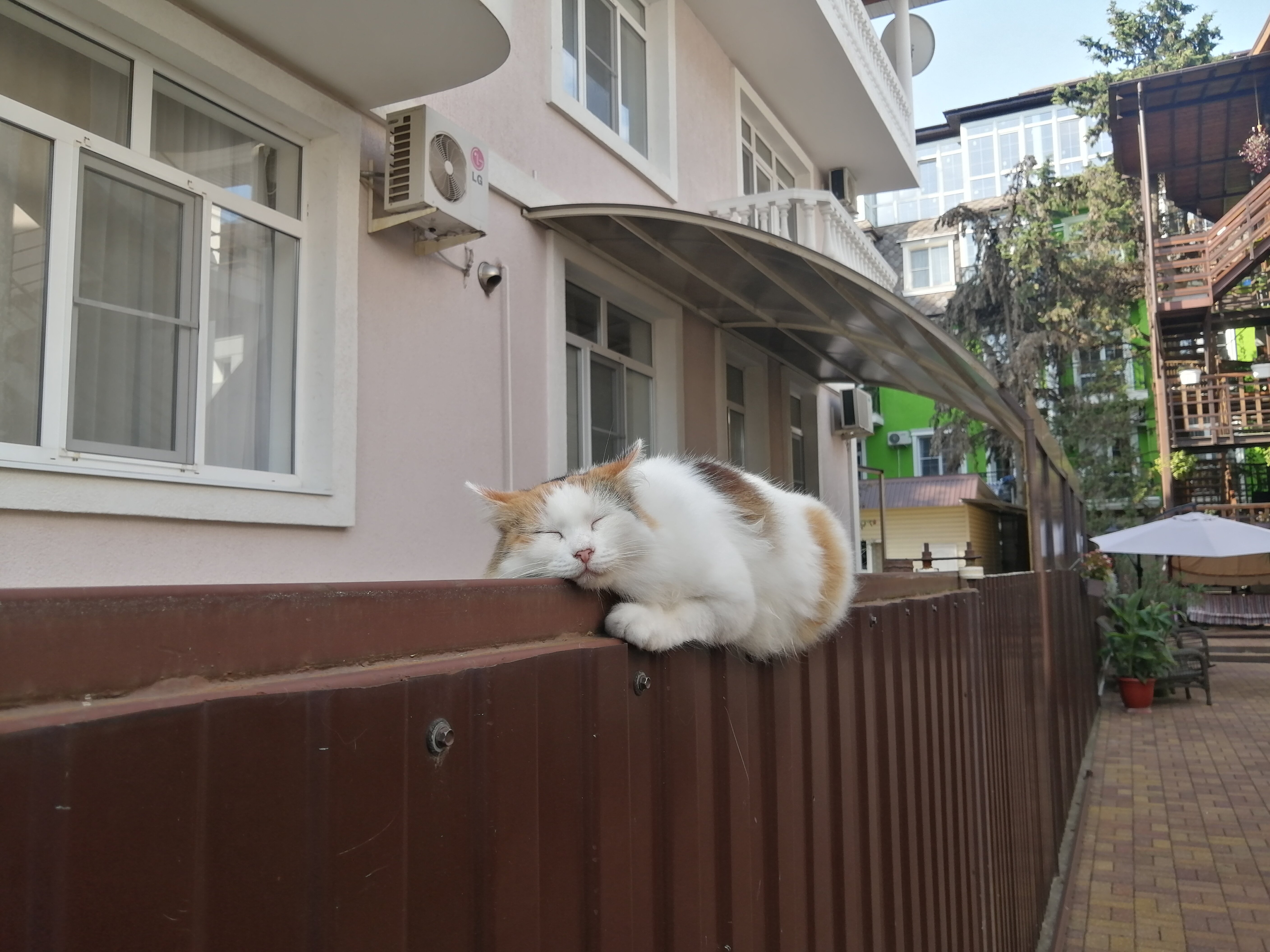 Фото Фигурный