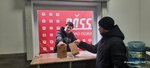 Rossko (Novorossijskaya Street, 240/1), auto parts and auto goods store