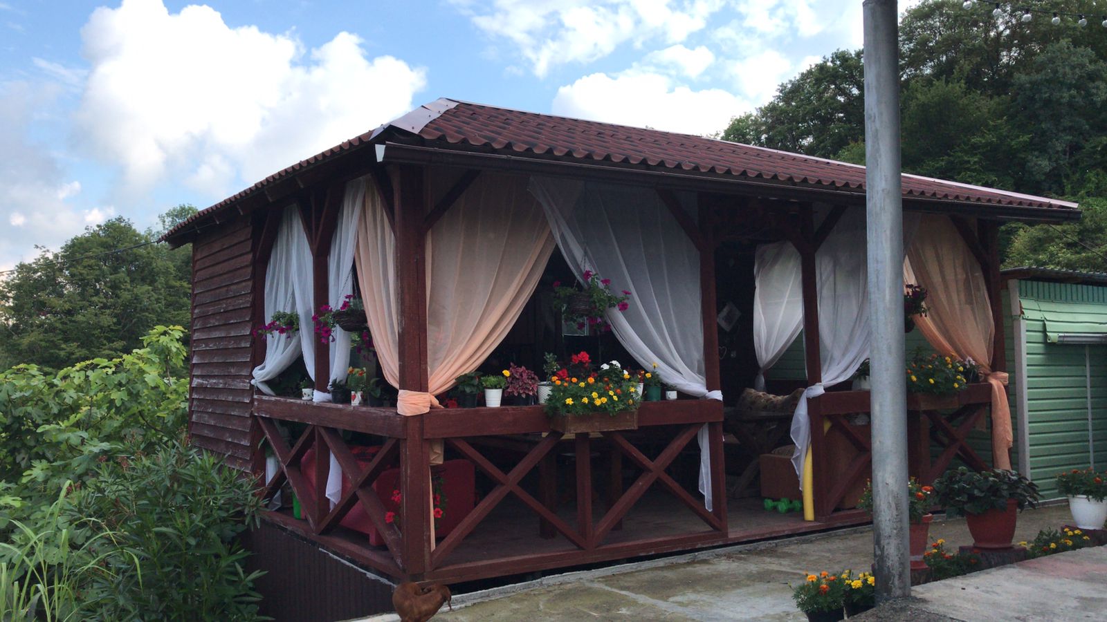 Фото Южный Вайб