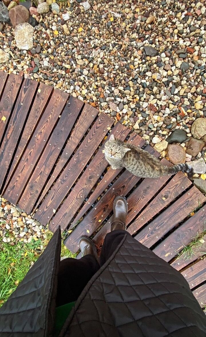 Фото Галерея