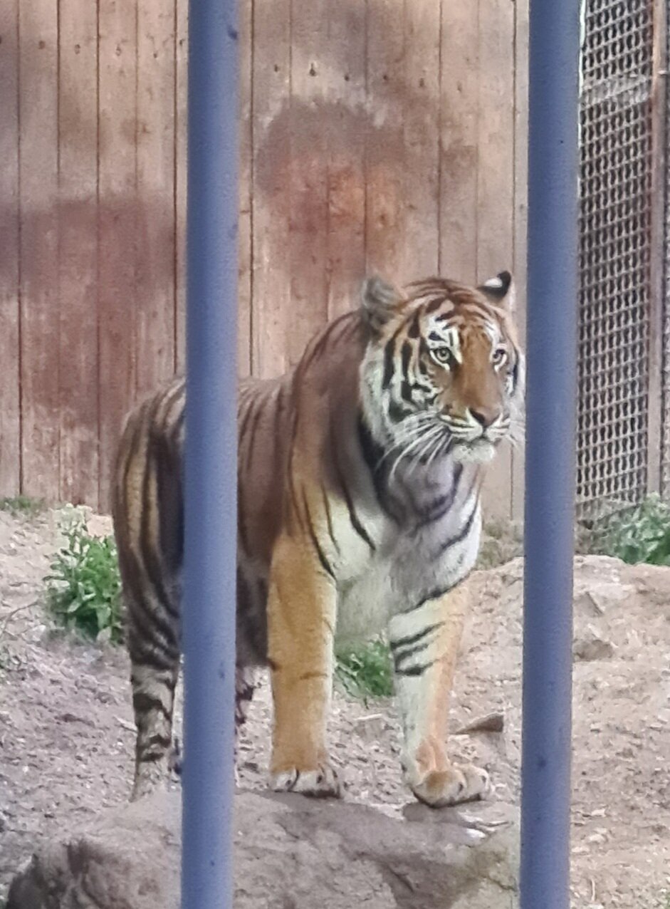 Фото Главрыба