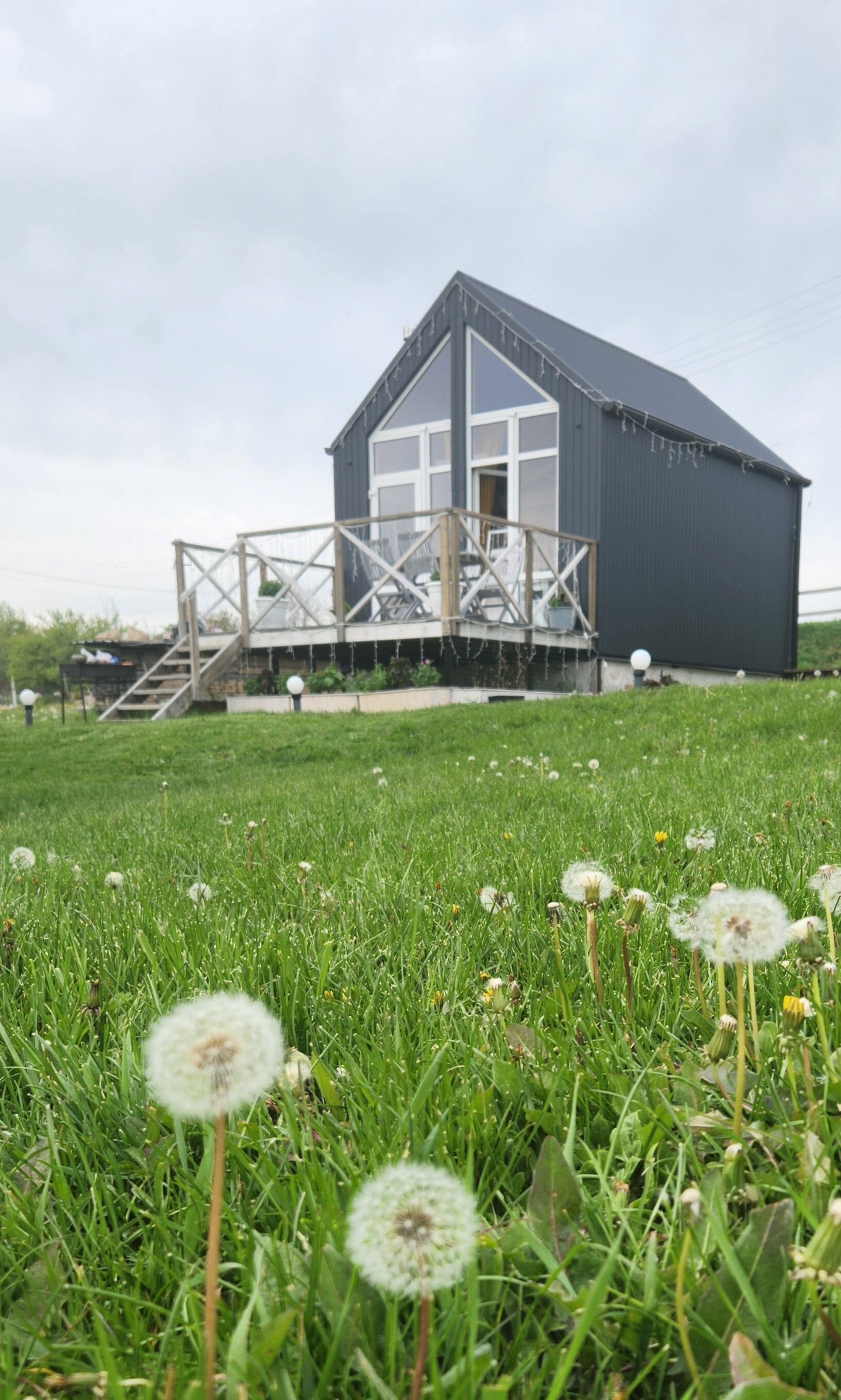 Фото Зарянка