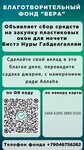 Vera (ulitsa Sibirskiy Trakt, 34к2), charity fund
