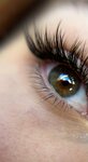 LinLash (Peterburgskoe Highway, 93), eyebrow and eyelash salon