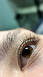 Alina. brows. klin (Liteynaya Street, 20), eyebrow and eyelash salon