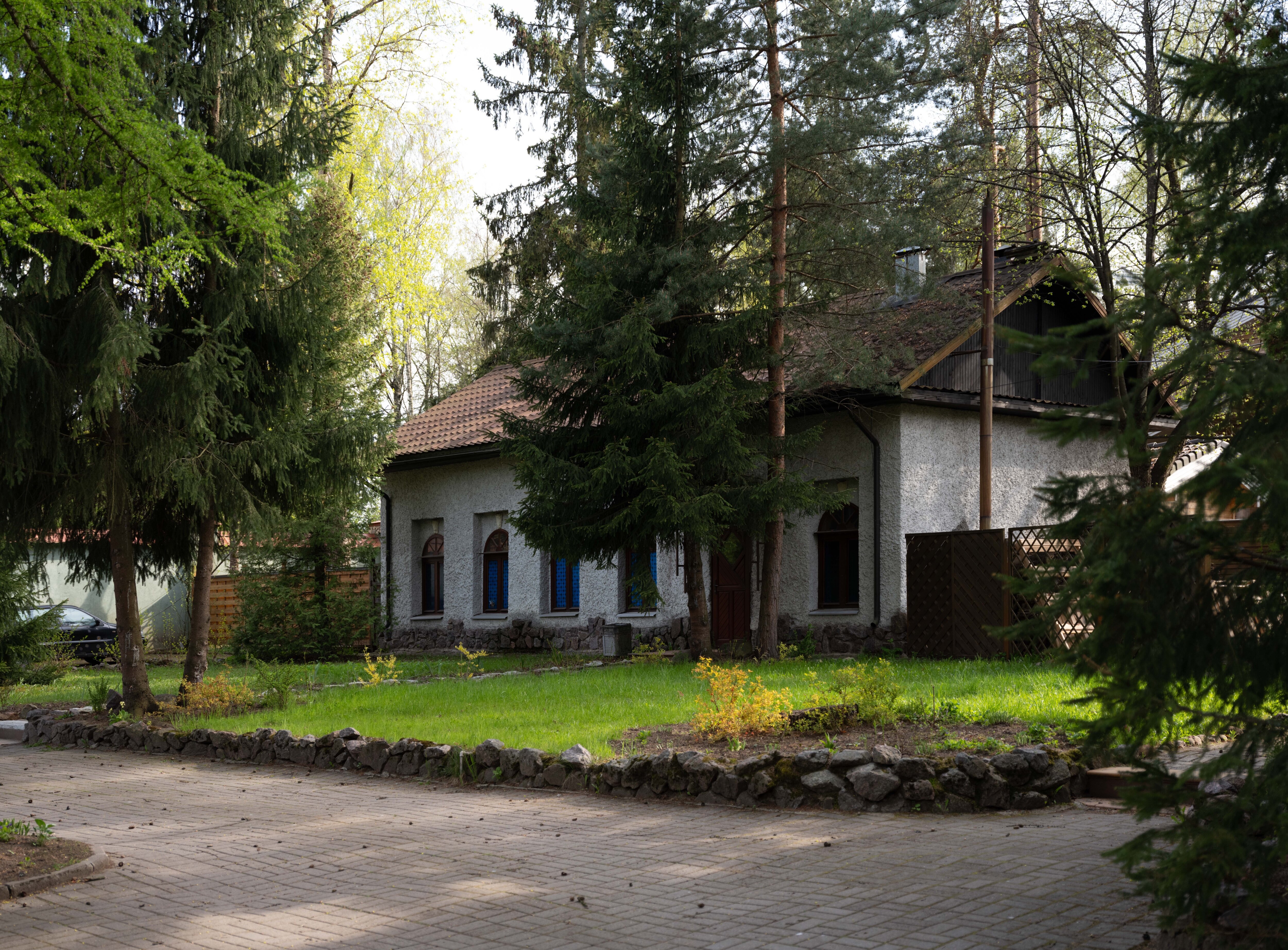 Фото Forest Relax