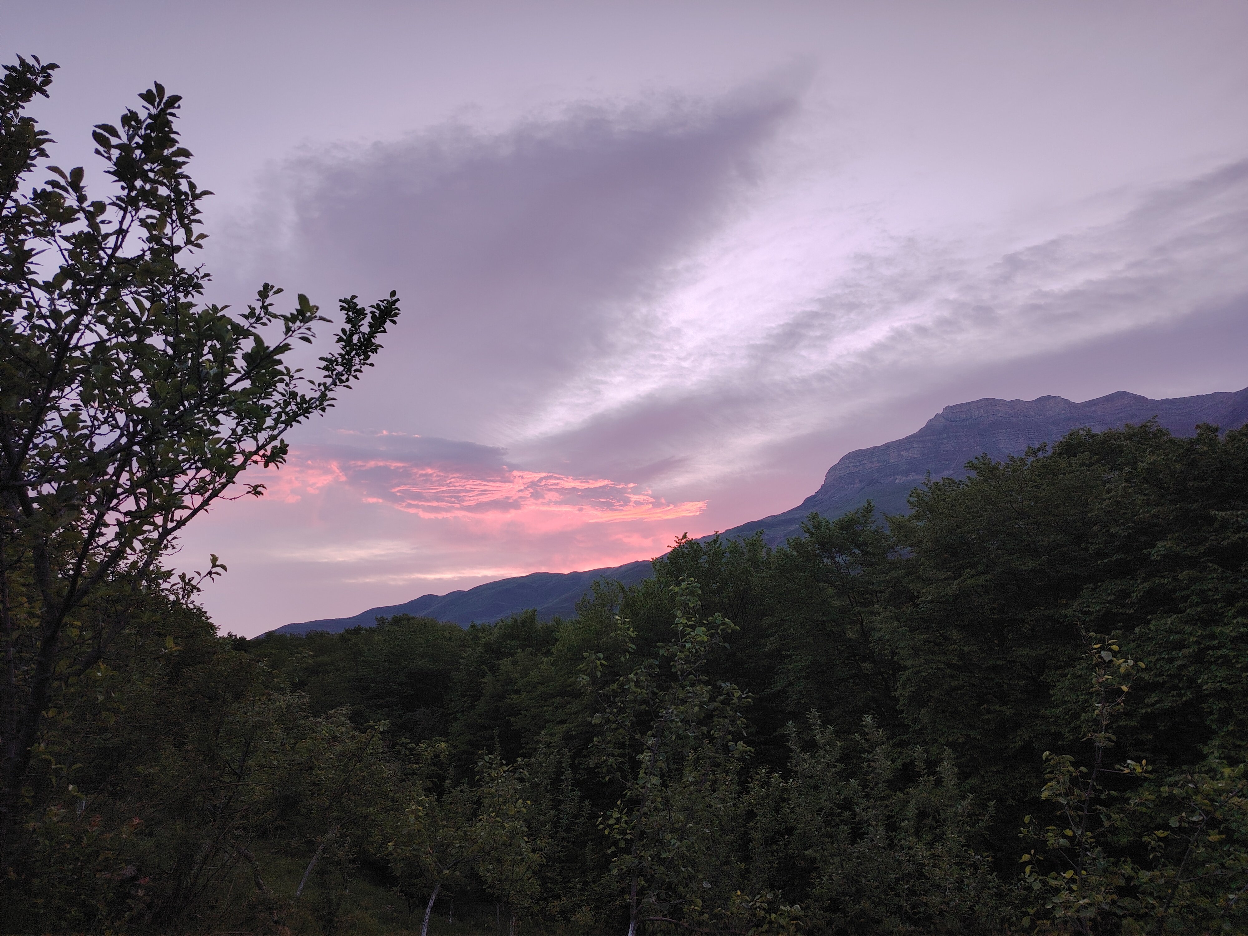Фото Дубовая Роща