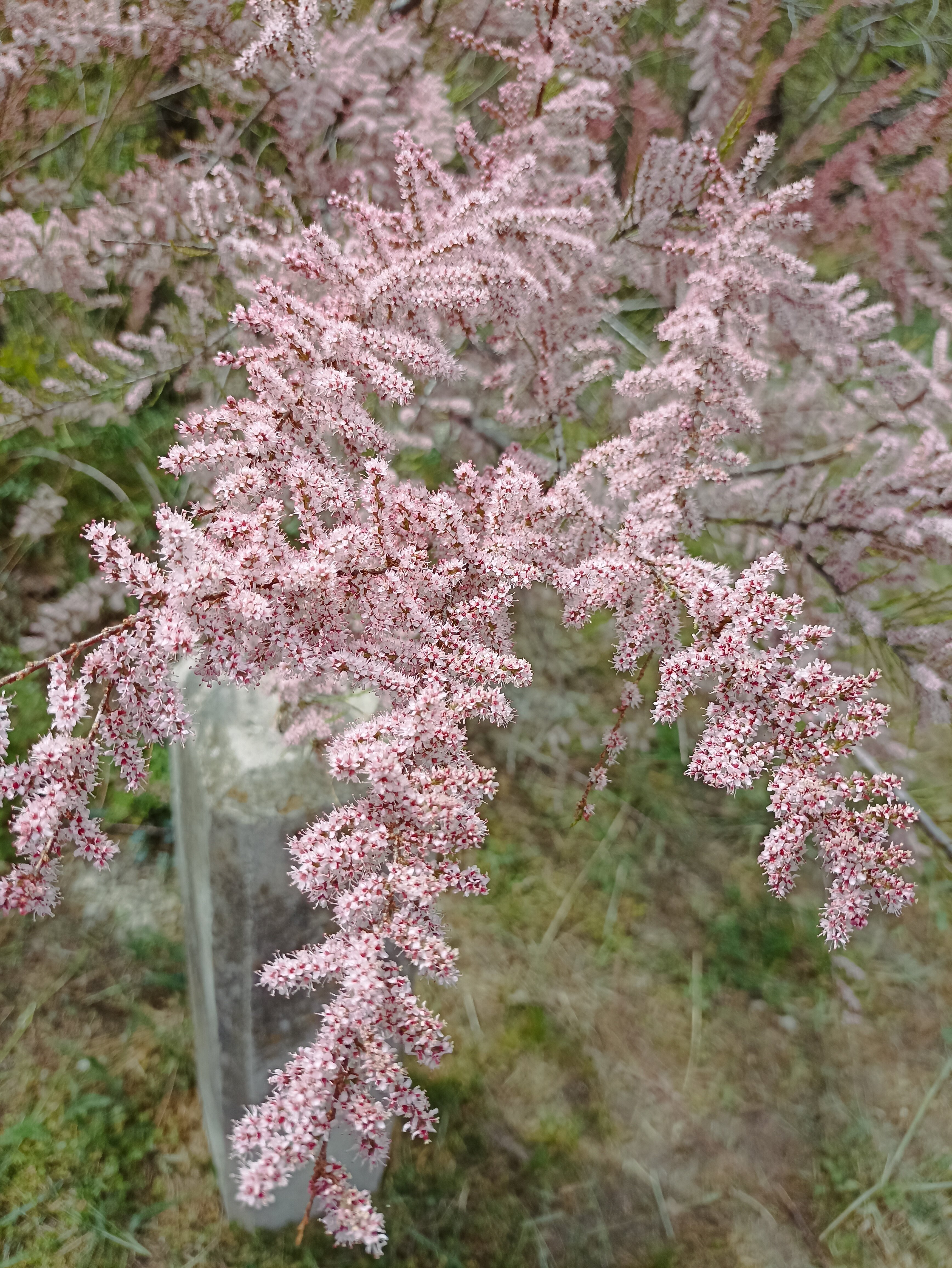 Фото Алушта на ладони