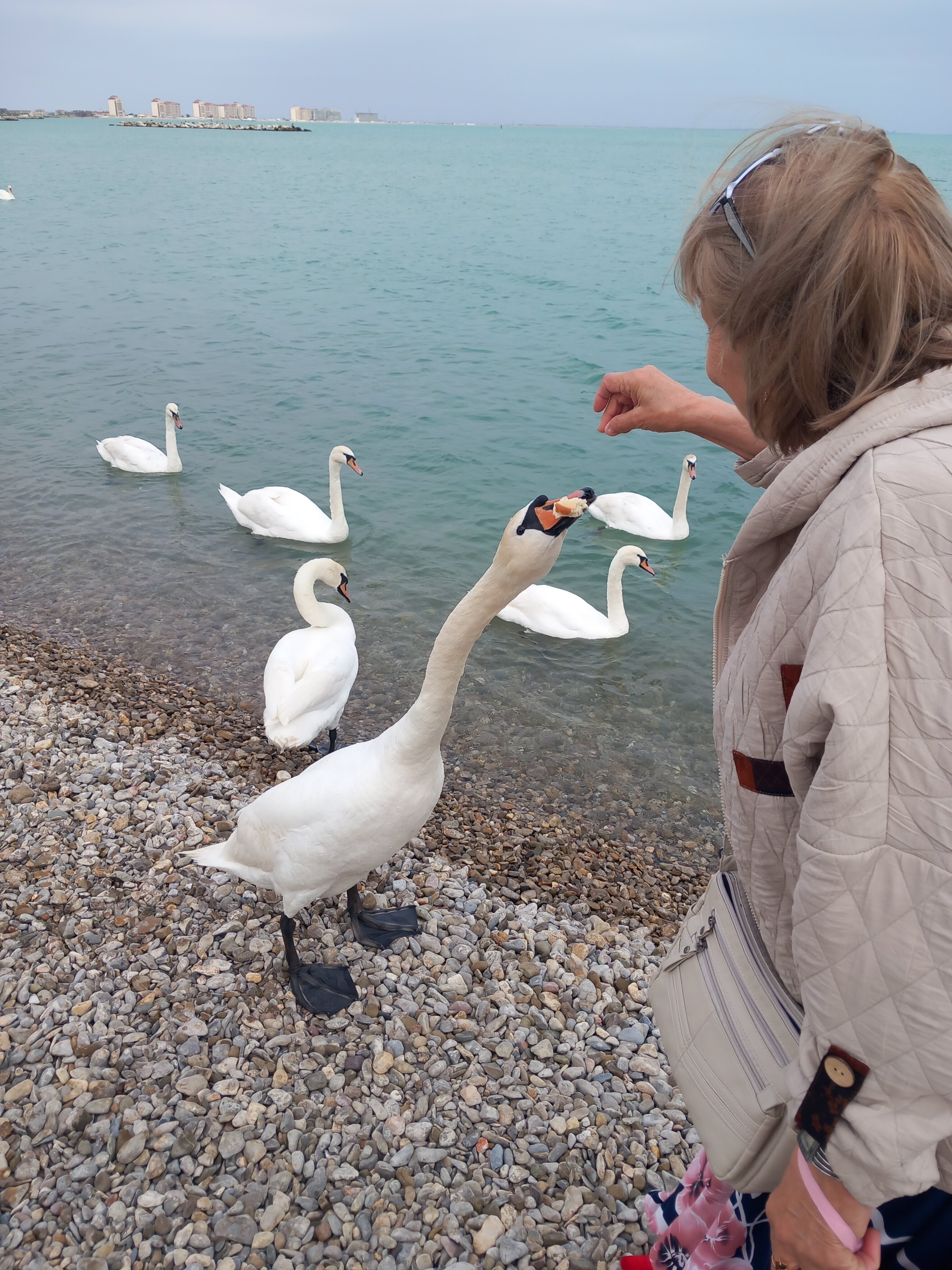 Фото Зелёный дворик