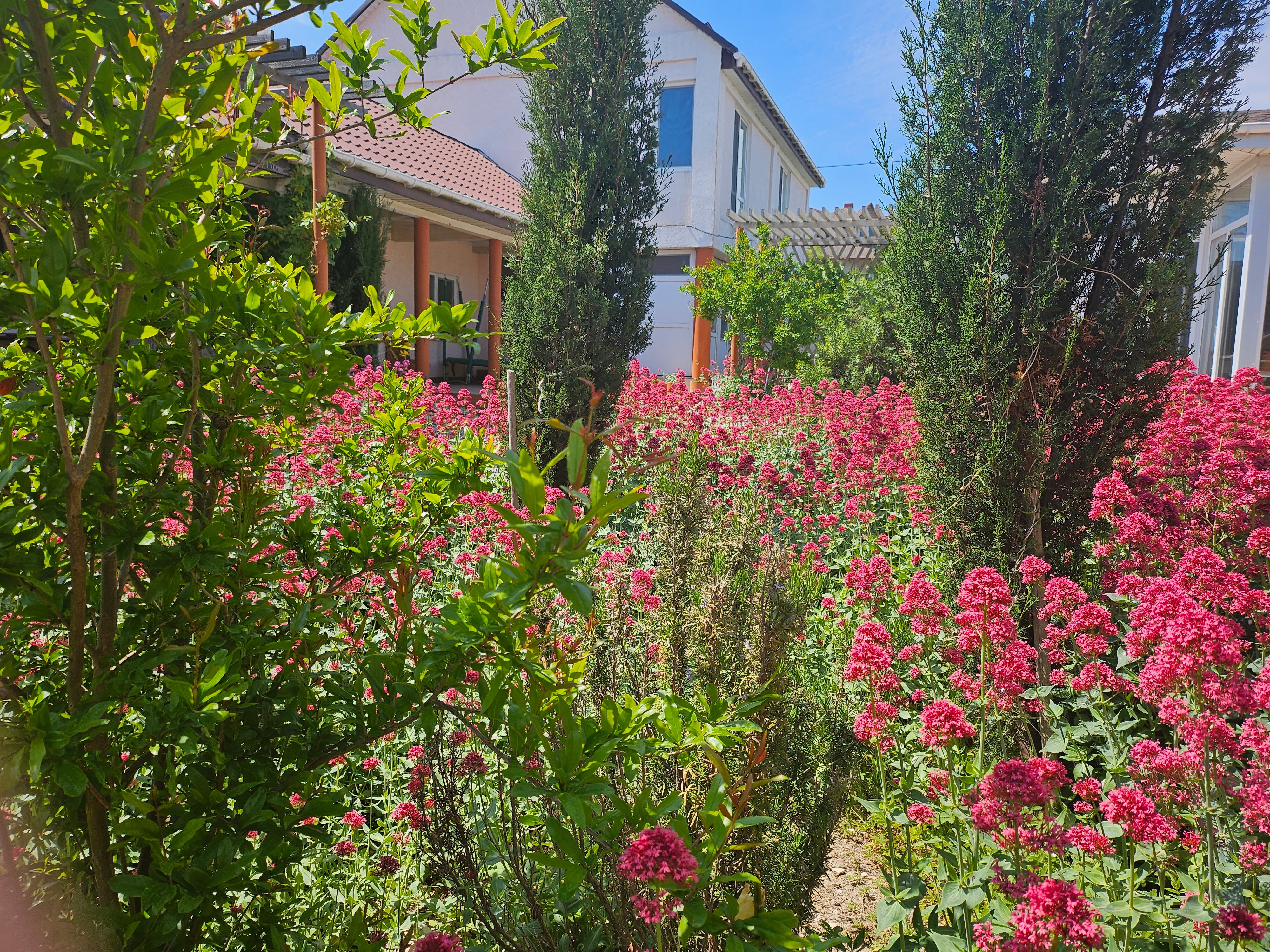 Фото ЧерноМорское