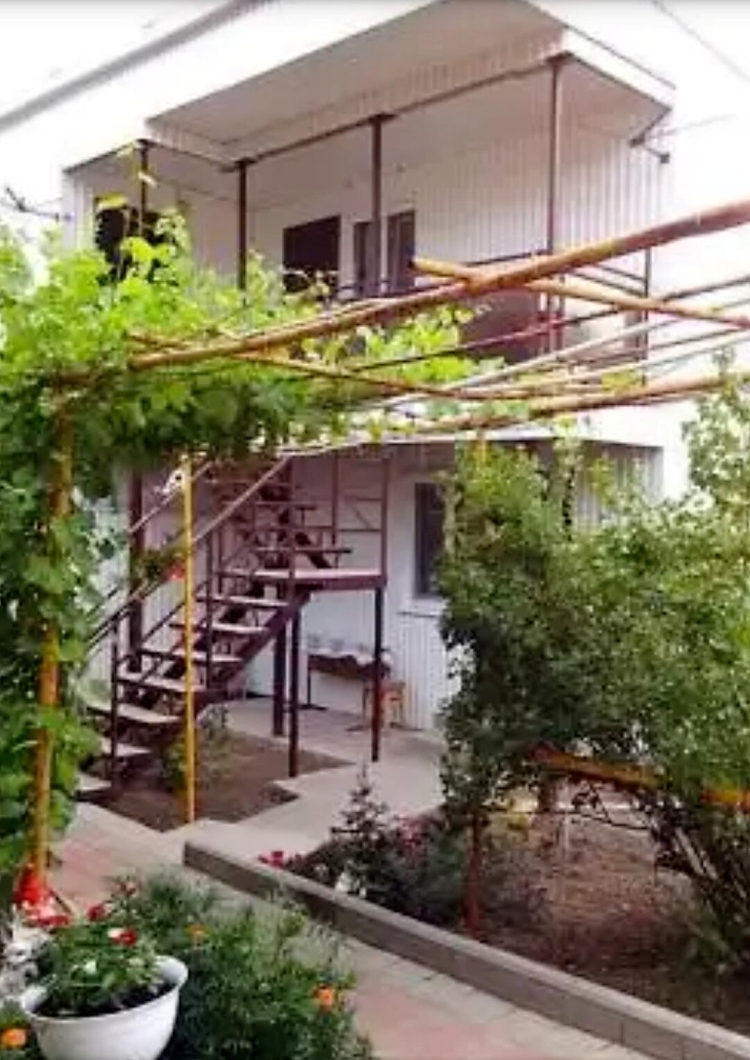 Фото Виноградная аллея