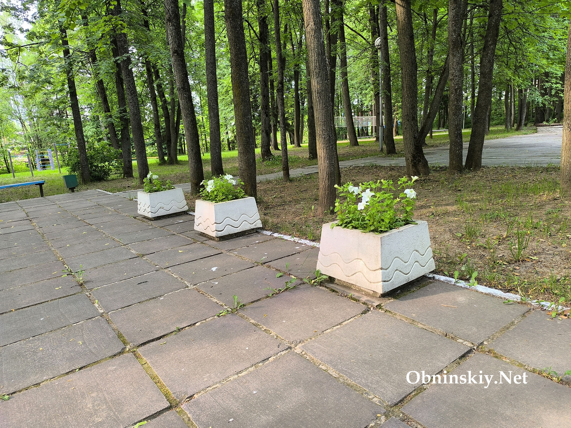 Фото Код здоровья