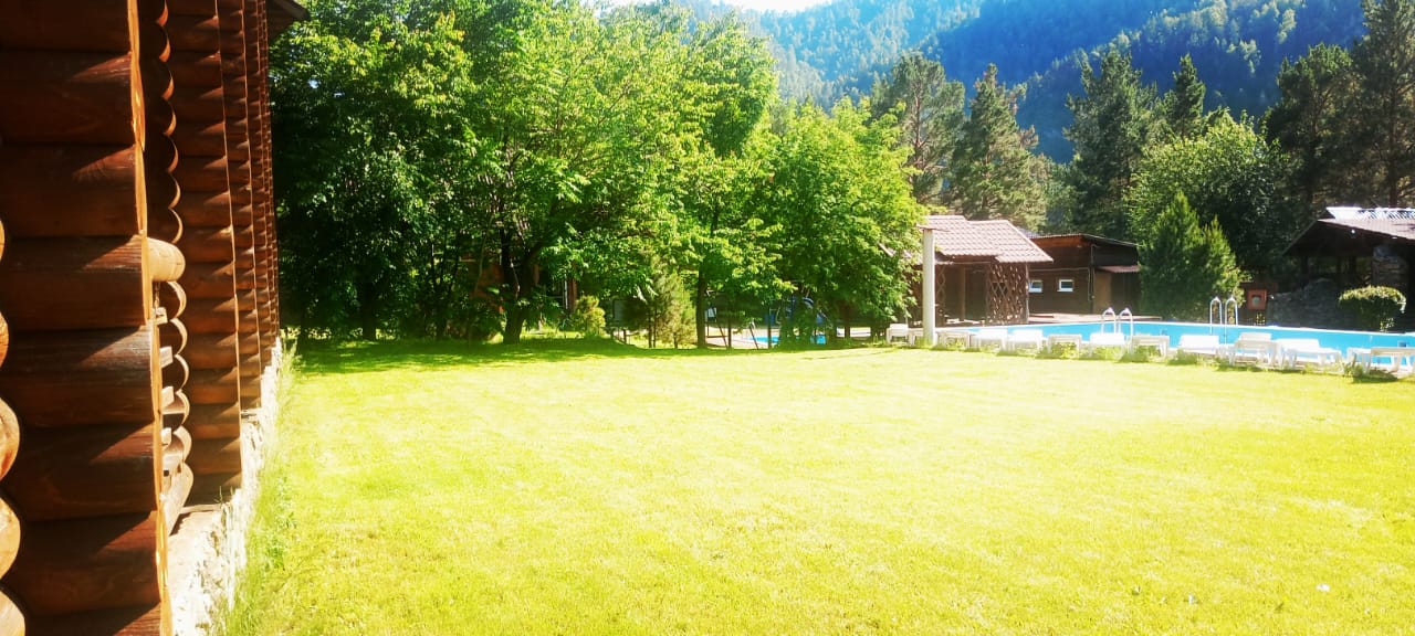 Фото Индиго