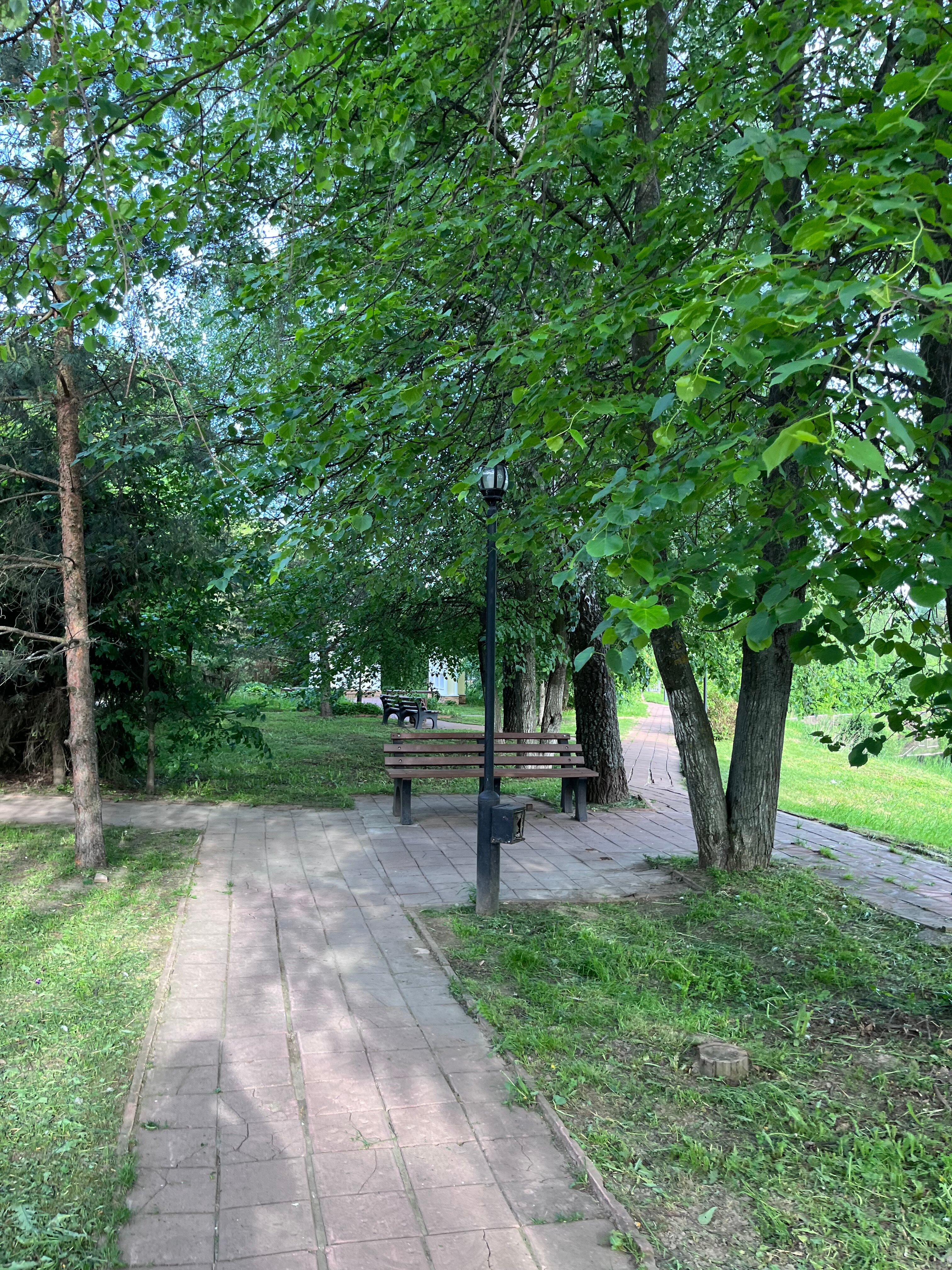 Фото Авиастарс