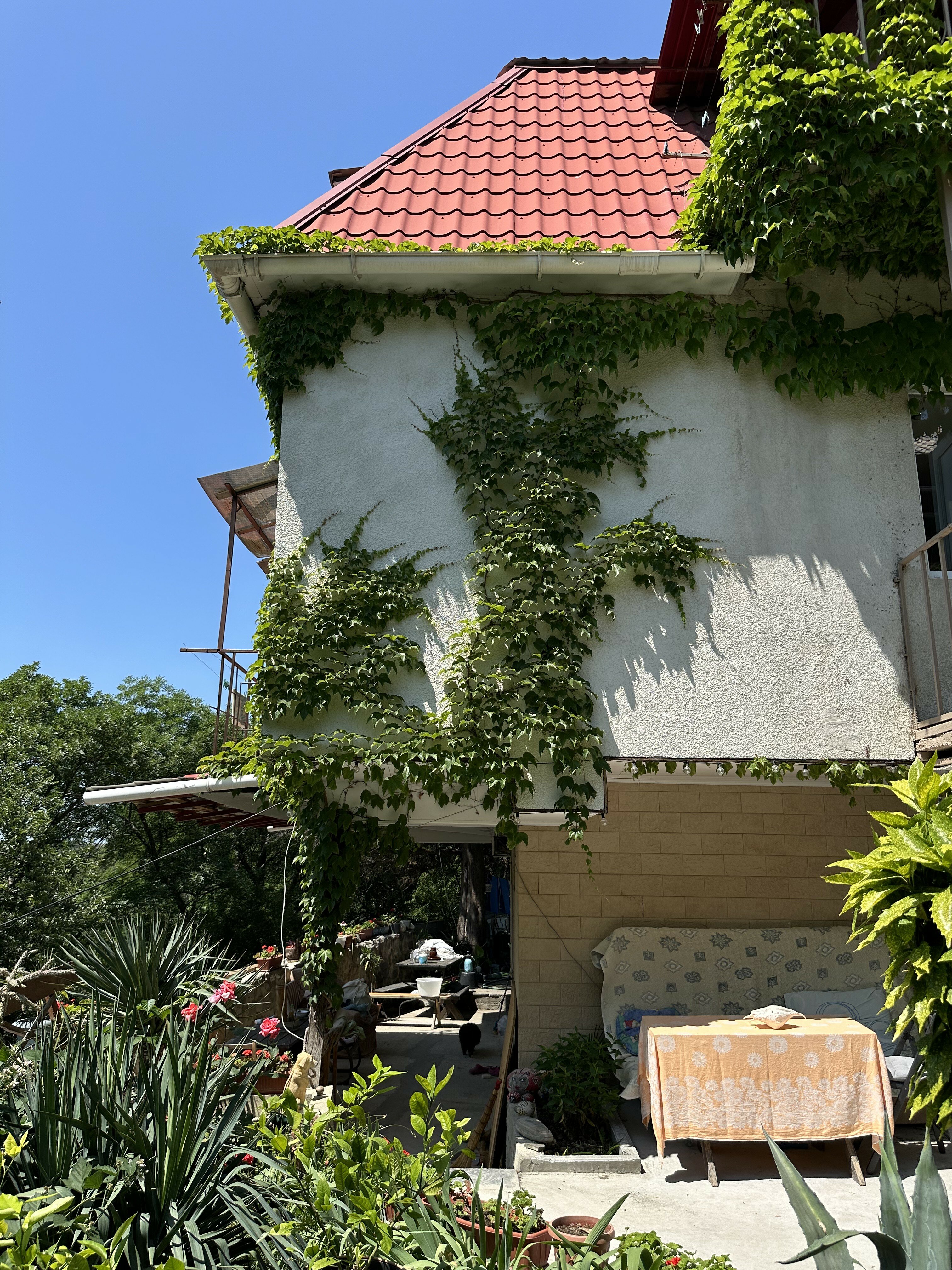 Фото Теремок