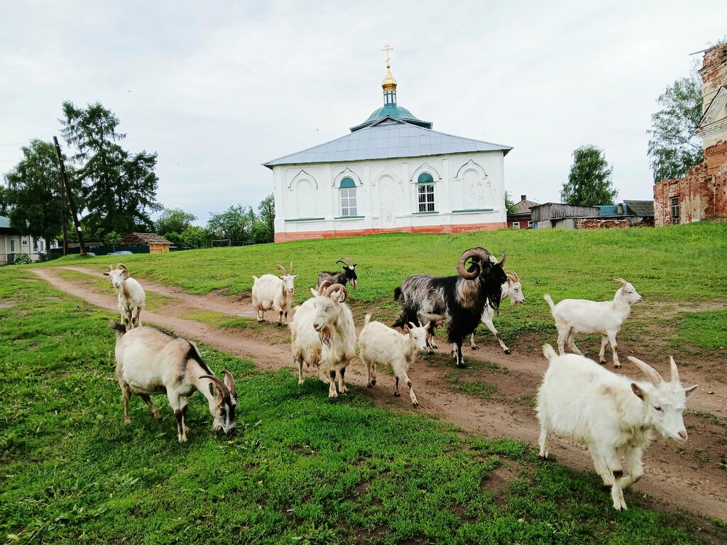Orthodox church Tserkov Ikony Bozhiyey Materi Kazanskaya V Vesyegonske, Vesegonsk, photo