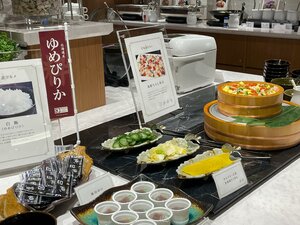 Гостиница Sapporo Washington Hotel Plaza