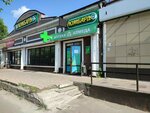 Асна (94-y kvartal, 8), farmacia